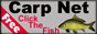 Carp Net (Free) Click The Fish